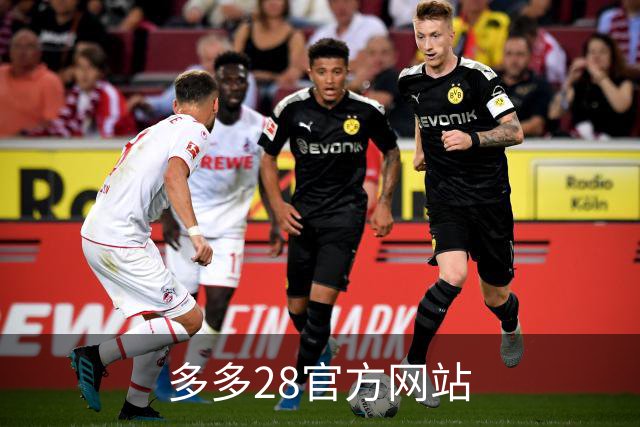 多多28官方网站公司介绍